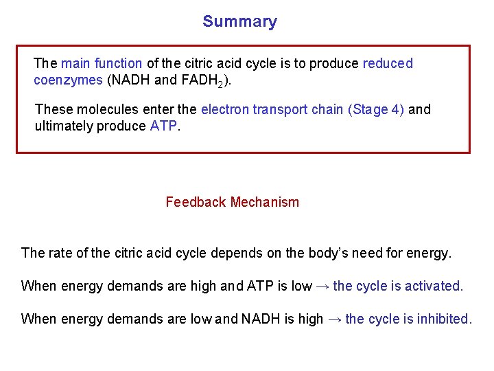 Summary The main function of the citric acid cycle is to produce reduced coenzymes