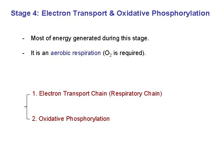 Stage 4: Electron Transport & Oxidative Phosphorylation - Most of energy generated during this