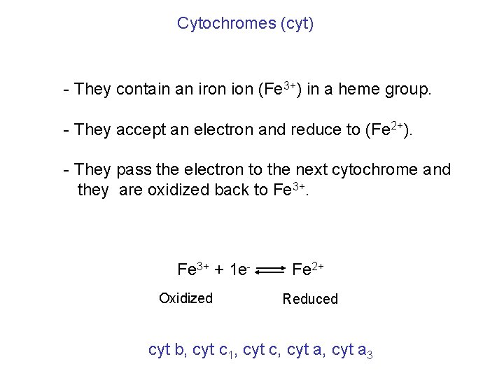 Cytochromes (cyt) - They contain an iron ion (Fe 3+) in a heme group.