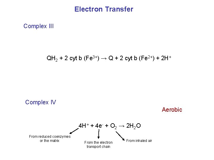 Electron Transfer Complex III QH 2 + 2 cyt b (Fe 3+) → Q
