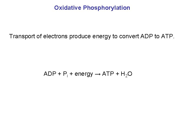 Oxidative Phosphorylation Transport of electrons produce energy to convert ADP to ATP. ADP +