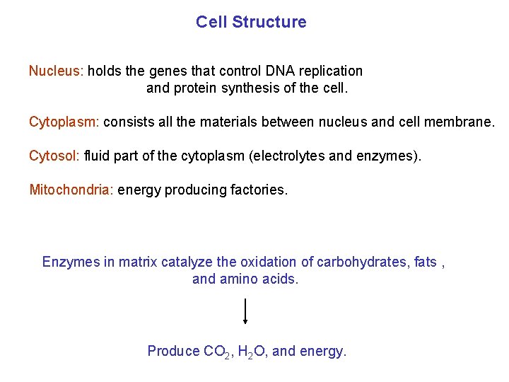 Cell Structure Nucleus: holds the genes that control DNA replication and protein synthesis of