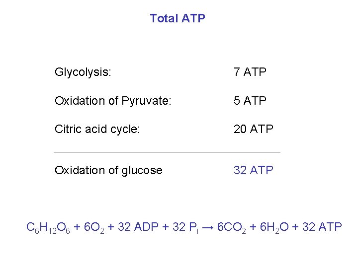 Total ATP Glycolysis: 7 ATP Oxidation of Pyruvate: 5 ATP Citric acid cycle: 20