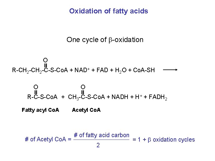 Oxidation of fatty acids One cycle of -oxidation O R-CH 2 -C-S-Co. A +