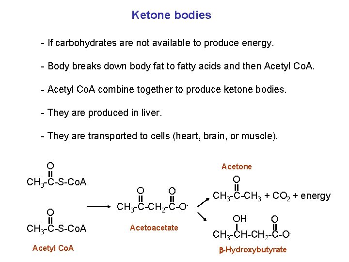 Ketone bodies - If carbohydrates are not available to produce energy. - Body breaks