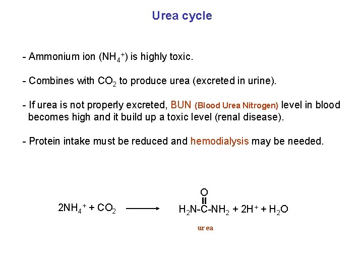 Urea cycle - Ammonium ion (NH 4+) is highly toxic. - Combines with CO