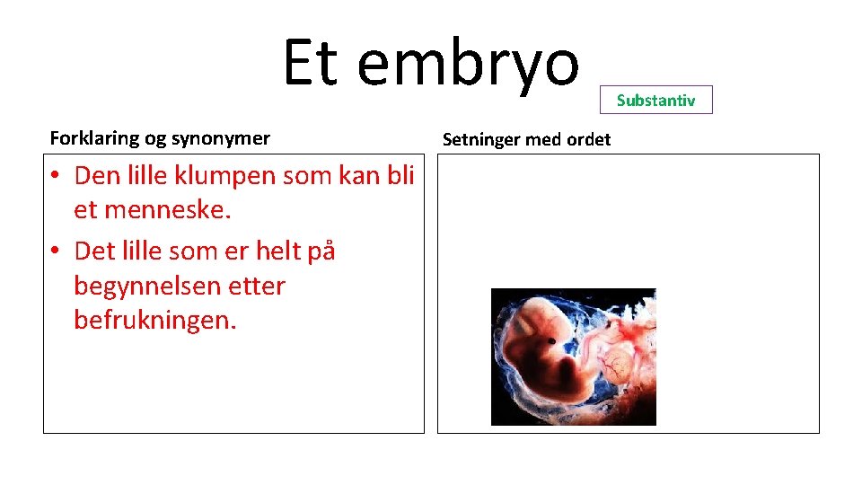 Et embryo Forklaring og synonymer • Den lille klumpen som kan bli et menneske.