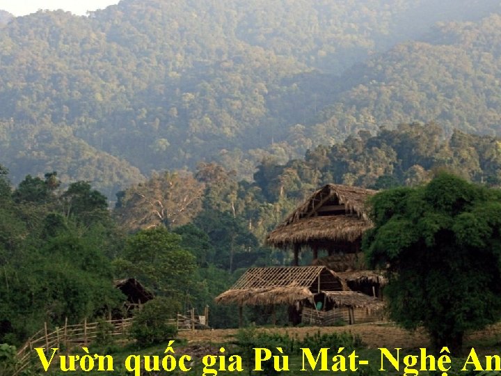 Vườn quốc gia Pù Mát- Nghệ An 
