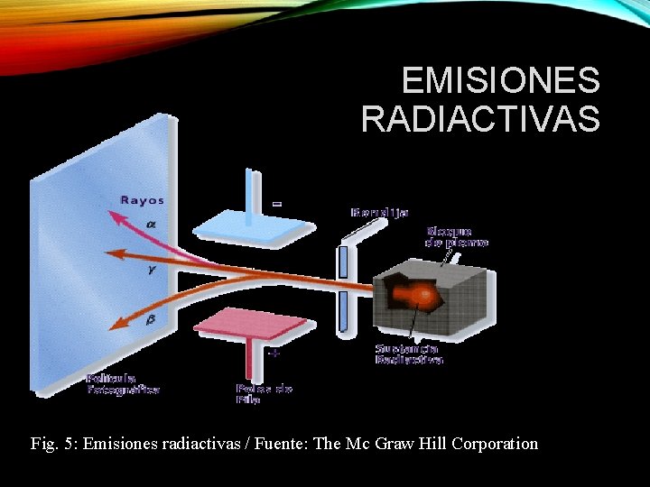 EMISIONES RADIACTIVAS Fig. 5: Emisiones radiactivas / Fuente: The Mc Graw Hill Corporation 