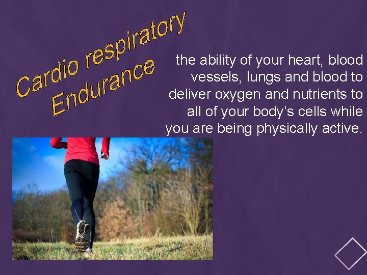 the ability of your heart, blood vessels, lungs and blood to deliver oxygen and
