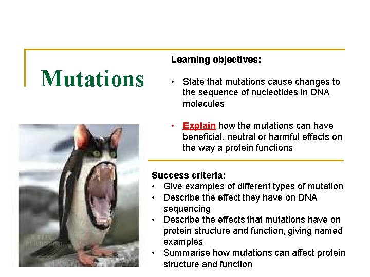 Learning objectives: Mutations • State that mutations cause changes to the sequence of nucleotides