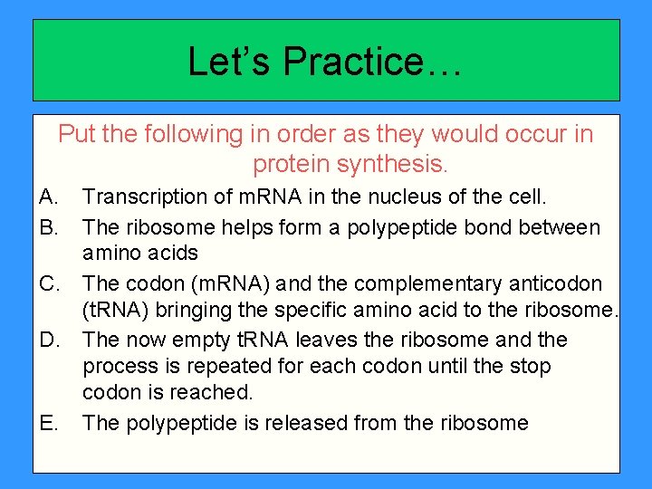 Let’s Practice… Put the following in order as they would occur in protein synthesis.