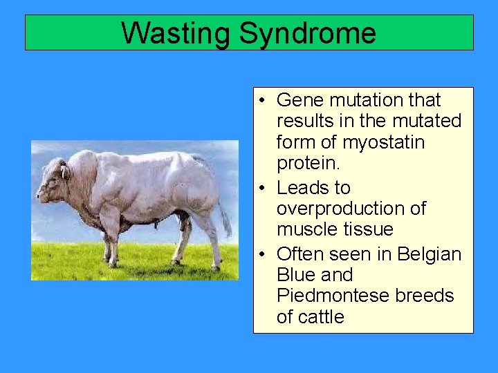Wasting Syndrome • Gene mutation that results in the mutated form of myostatin protein.