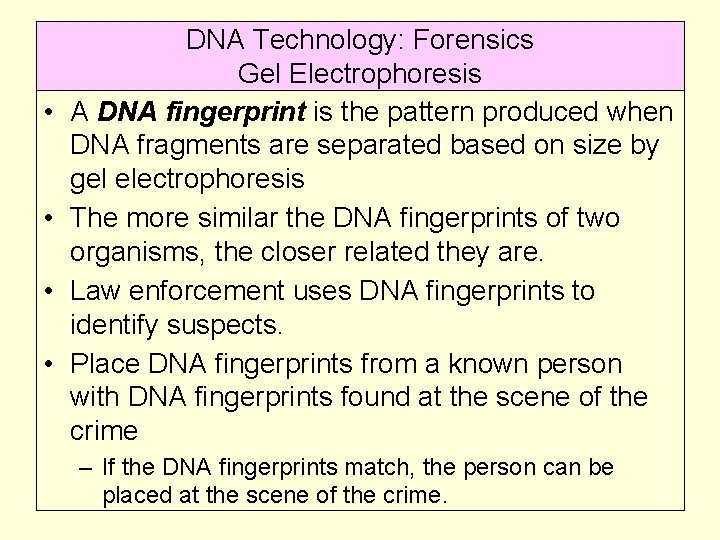  • • DNA Technology: Forensics DNA Fingerprint Gel Electrophoresis A DNA fingerprint is