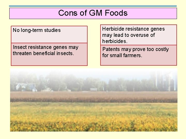 Cons of GM Foods No long-term studies Herbicide resistance genes may lead to overuse