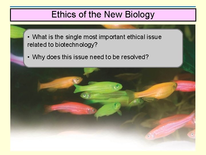 Ethics of the New Biology • What is the single most important ethical issue