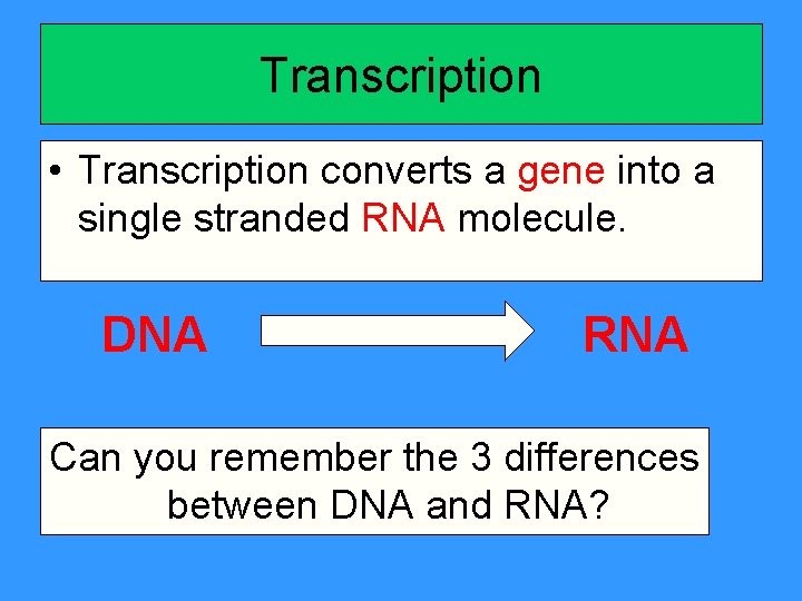 Transcription • Transcription converts a gene into a single stranded RNA molecule. DNA RNA