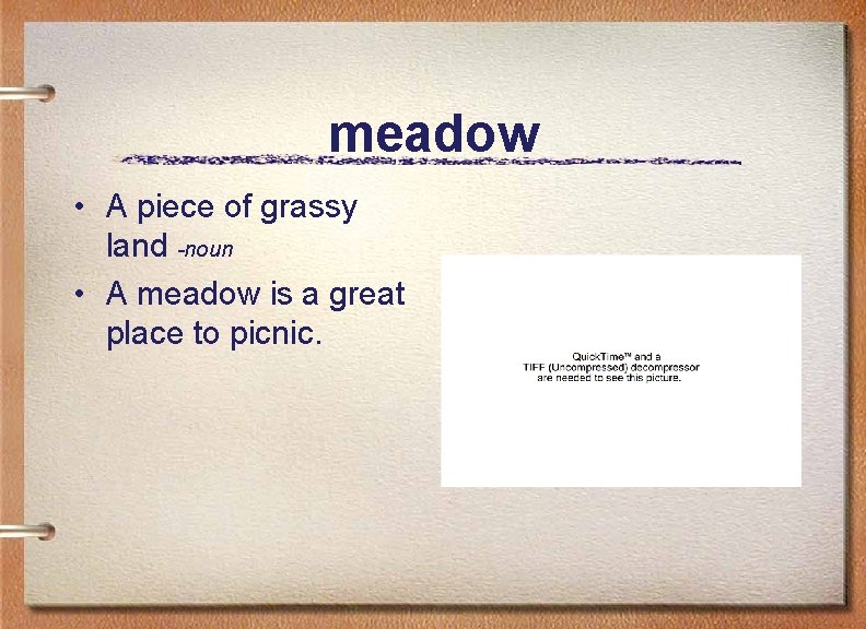 meadow • A piece of grassy land -noun • A meadow is a great