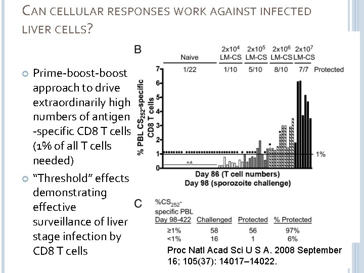 CAN CELLULAR RESPONSES WORK AGAINST INFECTED LIVER CELLS? Prime-boost approach to drive extraordinarily high