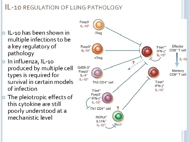 IL-10 REGULATION OF LUNG PATHOLOGY IL-10 has been shown in multiple infections to be