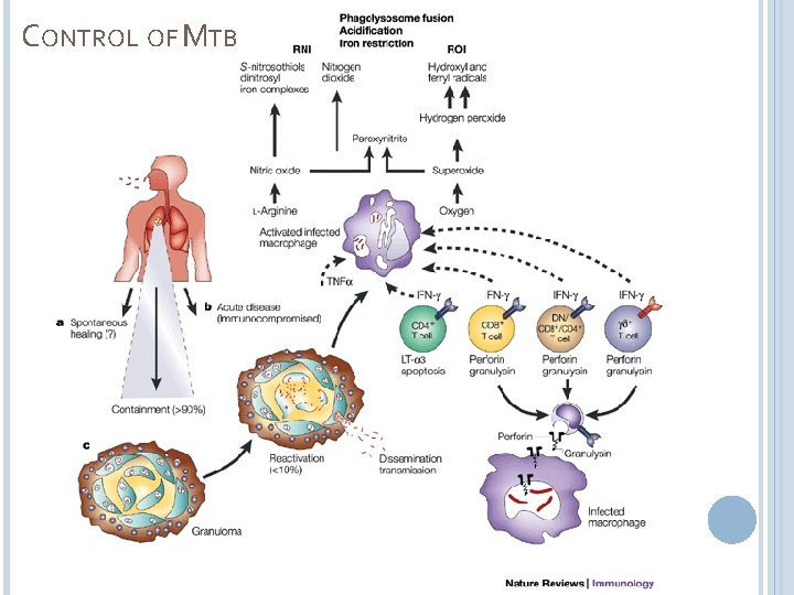 CONTROL OF MTB 