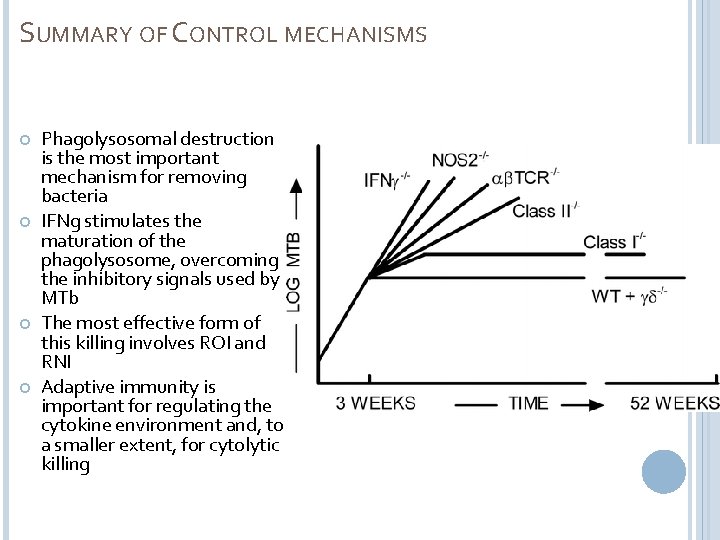 SUMMARY OF CONTROL MECHANISMS Phagolysosomal destruction is the most important mechanism for removing bacteria