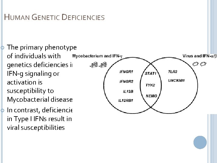 HUMAN GENETIC DEFICIENCIES The primary phenotype of individuals with genetics deficiencies in IFN-g signaling