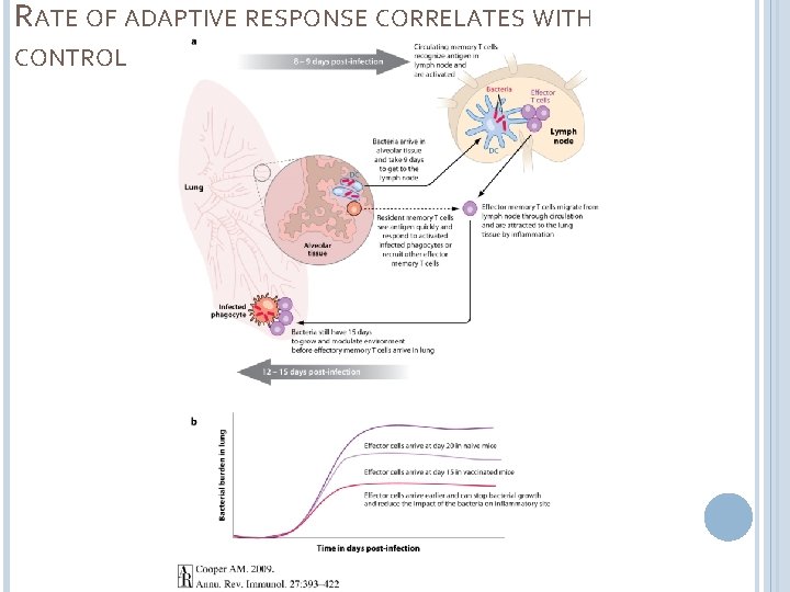 RATE OF ADAPTIVE RESPONSE CORRELATES WITH CONTROL 