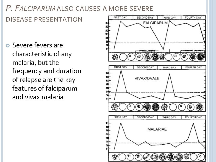 P. FALCIPARUM ALSO CAUSES A MORE SEVERE DISEASE PRESENTATION Severe fevers are characteristic of