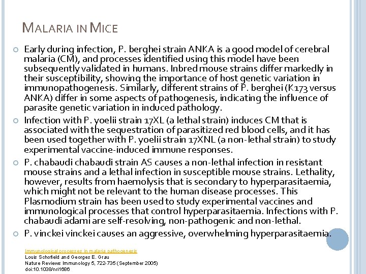 MALARIA IN MICE Early during infection, P. berghei strain ANKA is a good model