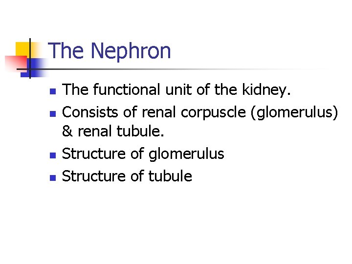 The Nephron n n The functional unit of the kidney. Consists of renal corpuscle