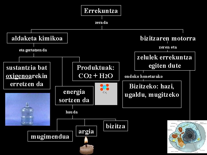 Errekuntza zera da aldaketa kimikoa bizitzaren motorra zeren eta gertatzen da sustantzia bat oxigenoarekin