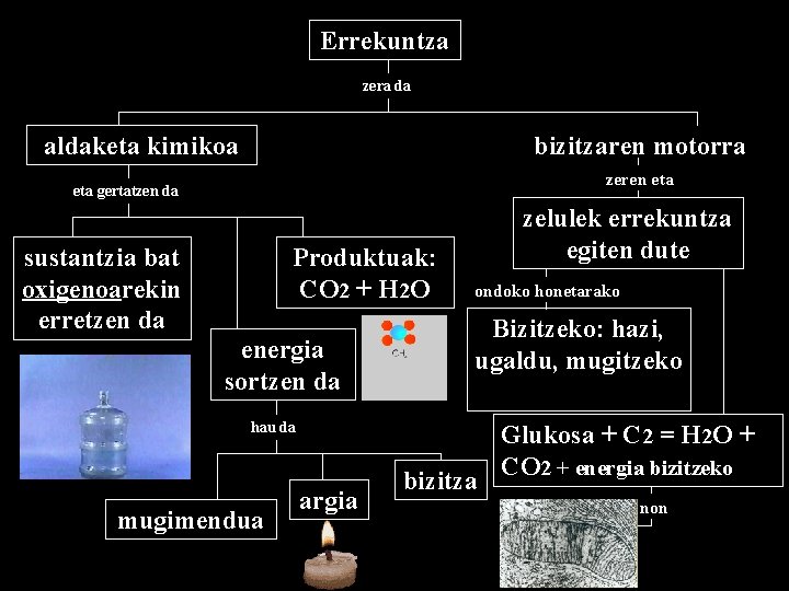 Errekuntza zera da aldaketa kimikoa bizitzaren motorra zeren eta gertatzen da sustantzia bat oxigenoarekin