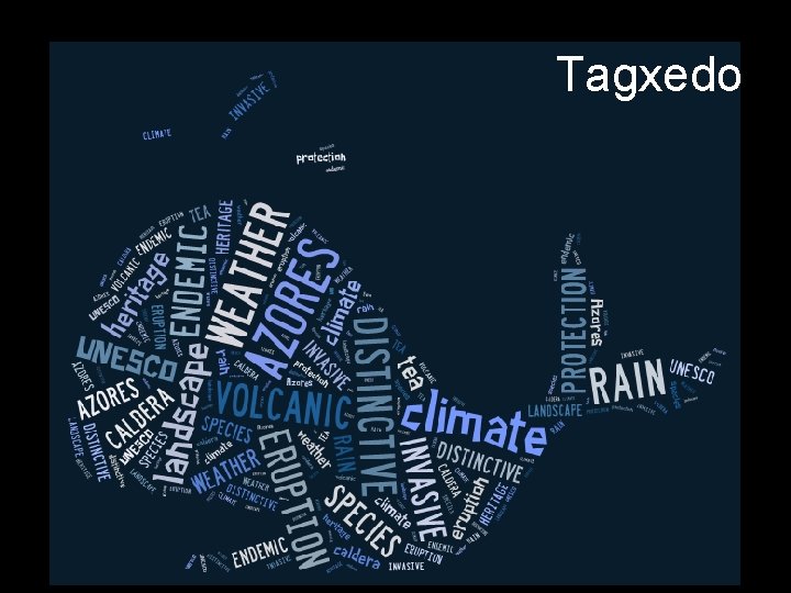 Tagxedo 