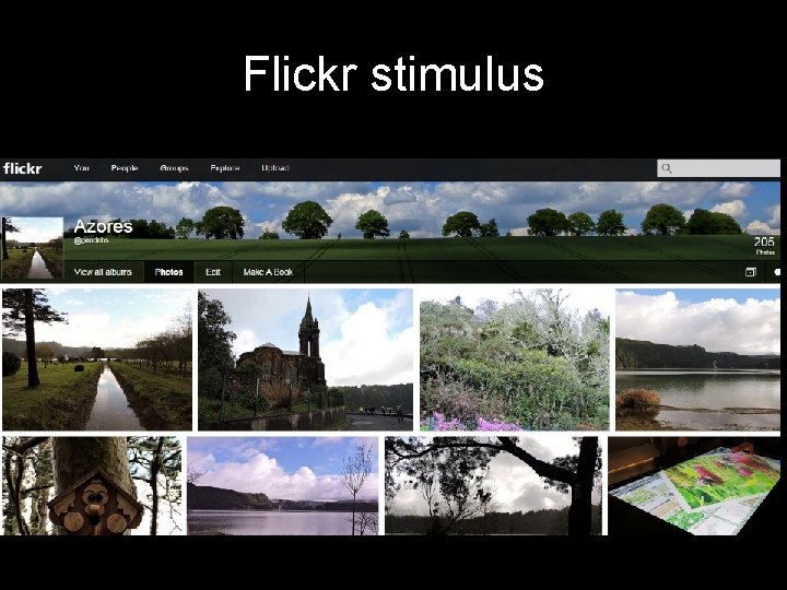 Flickr stimulus 