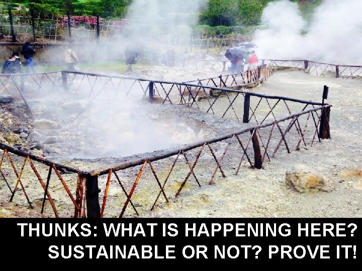 THUNKS: WHAT IS HAPPENING HERE? SUSTAINABLE OR NOT? PROVE IT! 