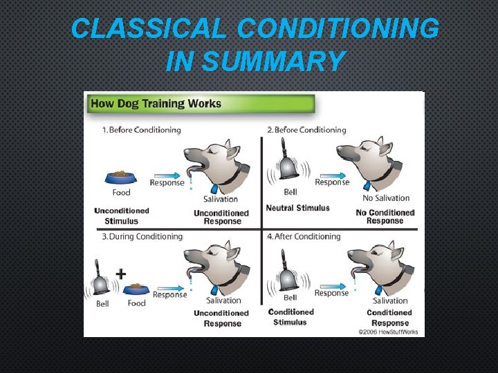 CLASSICAL CONDITIONING IN SUMMARY 