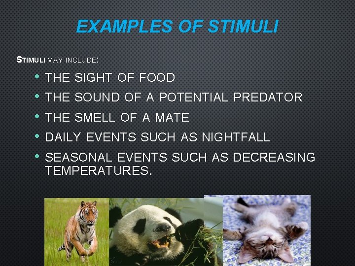 EXAMPLES OF STIMULI MAY INCLUDE: • • • THE SIGHT OF FOOD THE SOUND