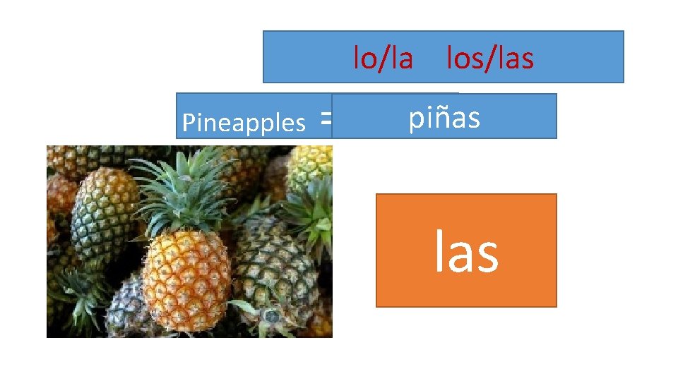 lo/la los/las Pineapples = piñas las 