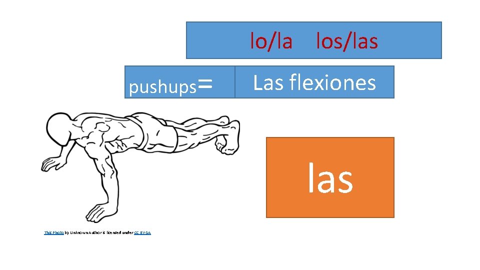lo/la los/las pushups = Las flexiones las This Photo by Unknown Author is licensed