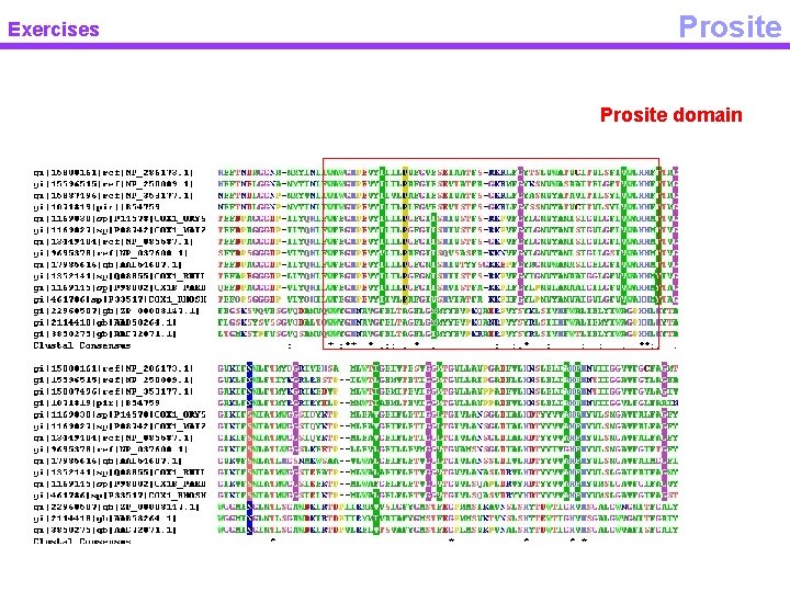 Exercises Prosite domain 