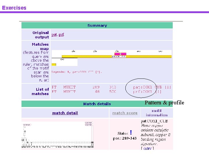 Exercises Pattern & profile 