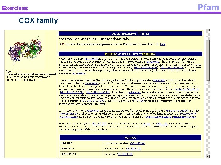 Exercises COX family Pfam 