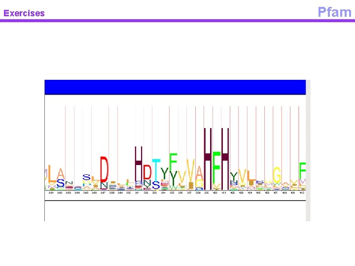 Exercises Pfam 