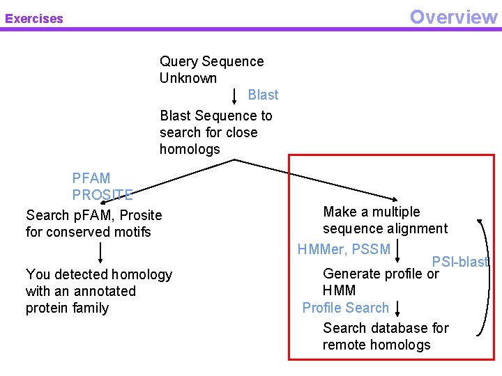 Overview Exercises Query Sequence Unknown Blast Sequence to search for close homologs PFAM PROSITE