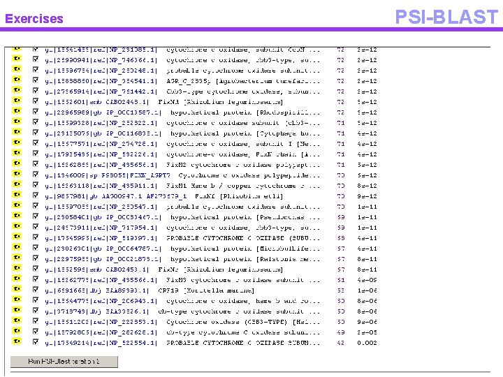Exercises PSI-BLAST 