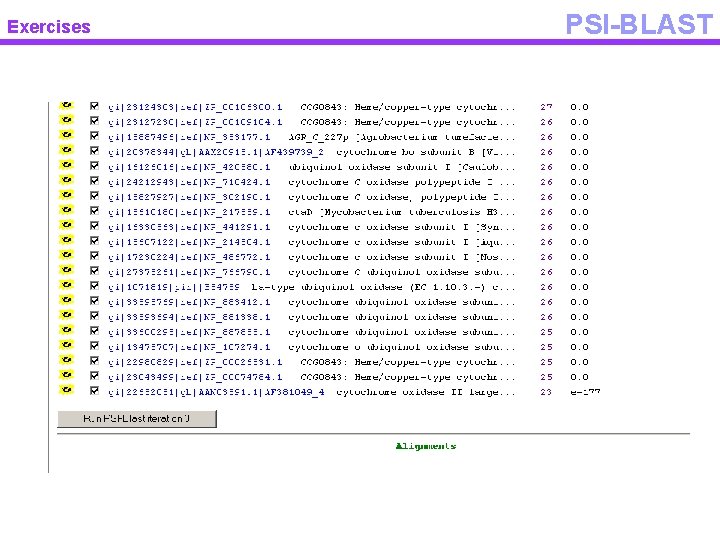 Exercises PSI-BLAST 
