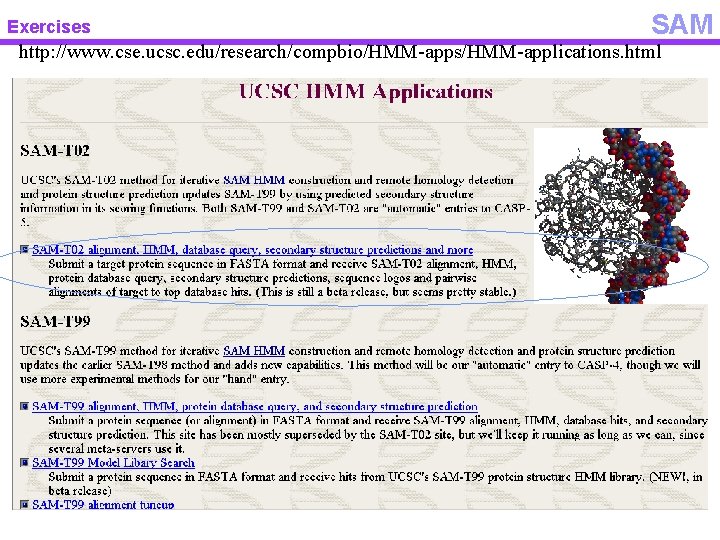 Exercises SAM http: //www. cse. ucsc. edu/research/compbio/HMM-apps/HMM-applications. html 