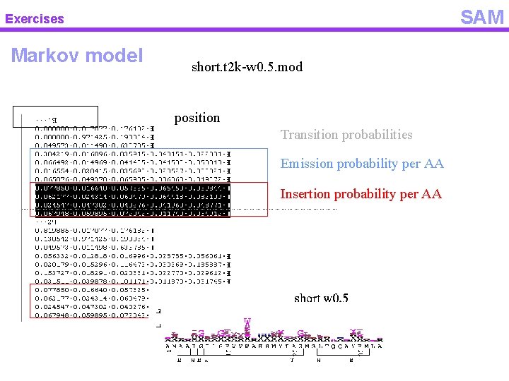 SAM Exercises Markov model short. t 2 k-w 0. 5. mod position Transition probabilities