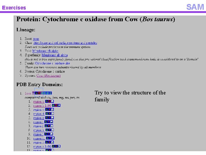 SAM Exercises Try to view the structure of the family 